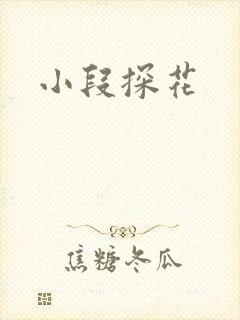 小段探花