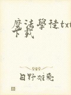 魔法学徒txt下载