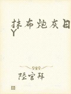 抹布炮灰日记BY封面