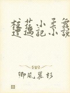校花小柔舞蹈室遭遇记小说