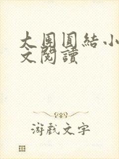 大团圆结小茹全文阅读