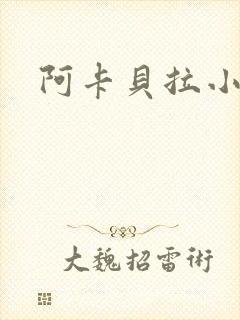 阿卡贝拉小说