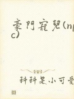 豪门宠儿(npc)