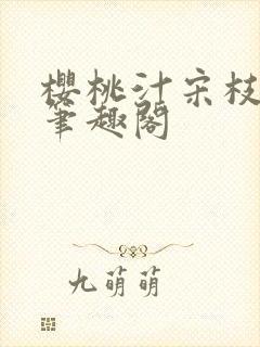 樱桃汁宋枝江野笔趣阁封面