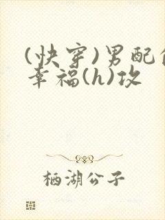 (快穿)男配的幸福(h)攻