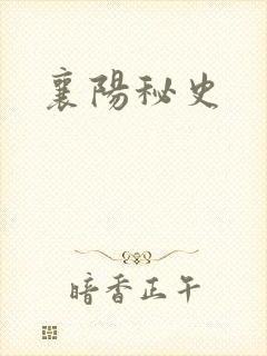襄阳秘史