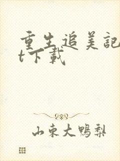 重生追美记txt下载
