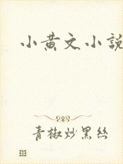 小黄文小说封面