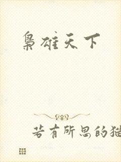枭雄天下