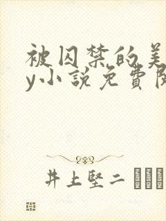 被囚禁的美人by小说免费阅读