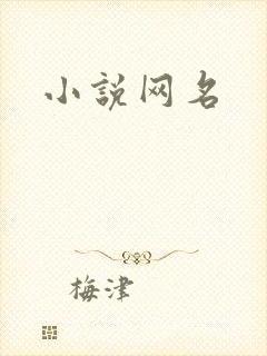 小说网名