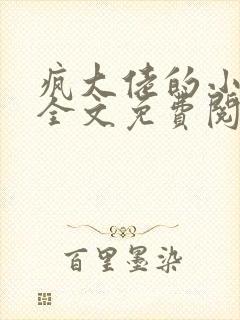 疯大佬的小玩物全文免费阅读小说