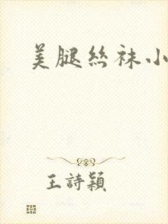 美腿丝袜小说