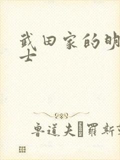 武田家的明国武士