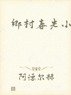 乡村春光小说