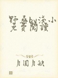 野桑by浅小说免费阅读