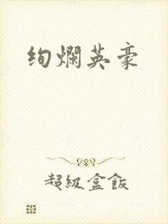绚烂英豪封面