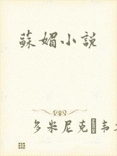 苏媚小说