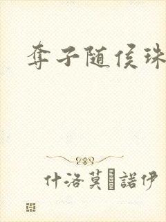 夺子随侯珠