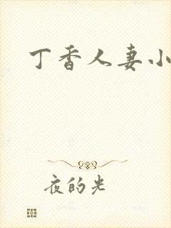 丁香人妻小说