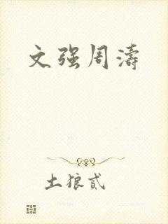 文强周涛