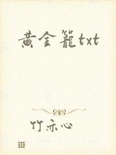 黄金笼txt