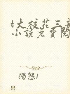 t大校花三部曲小说免费阅读全文