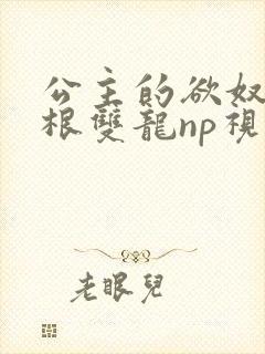 公主的欲奴h四根双龙np视频