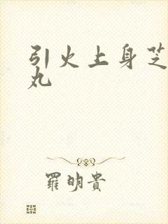 引火上身芝麻糖丸封面