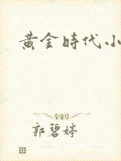 黄金时代小说封面