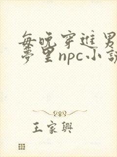 每晚穿进男神的梦里npc小说