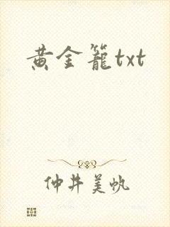 黄金笼txt