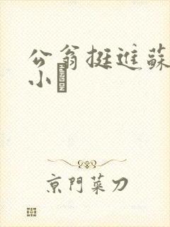 公翁挺进苏玥的小泬