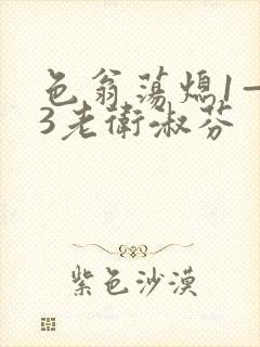 色翁荡熄1—13老卫淑芬封面