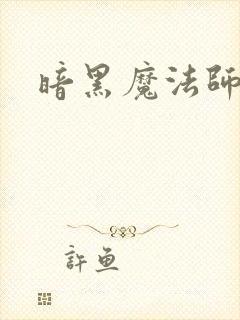 暗黑魔法师封面