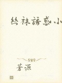 丝袜诱惑小说