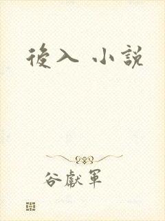 后入 小说
