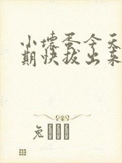 小坏蛋今天危险期快拔出来