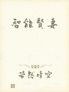 智能贤妻