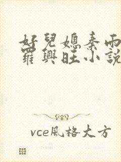 好儿媳秦雨罗明罗兴旺小说
