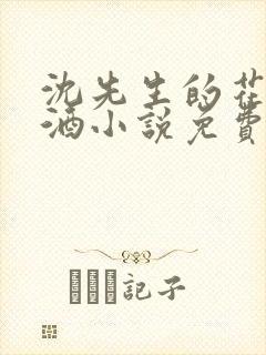 沈先生的花式调酒小说免费阅读