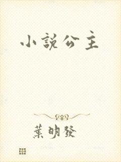 小说公主封面