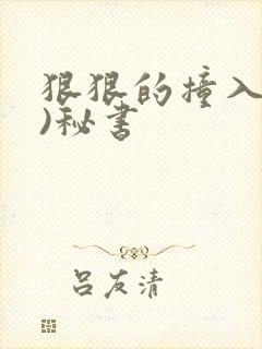 狠狠的撞入(h)秘书
