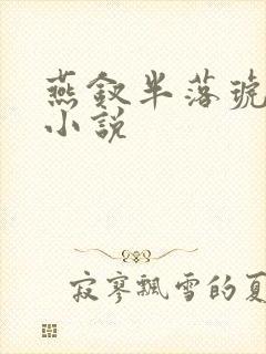 燕钗半落琥珀糖小说