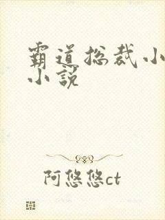 霸道总裁小娇妻小说封面