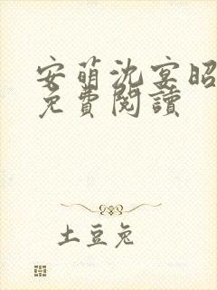 安萌沈宴昭小说免费阅读