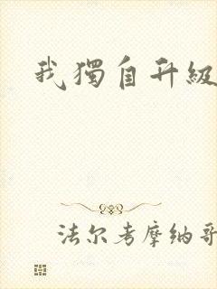 我独自升级小说