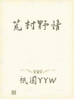 荒村野情封面
