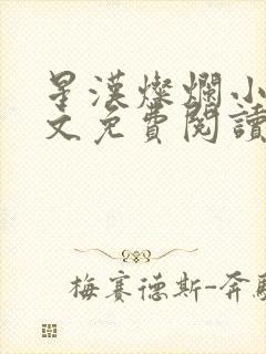 星汉灿烂小说全文免费阅读