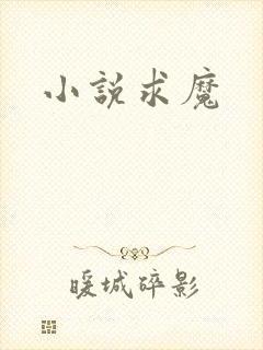 小说求魔封面